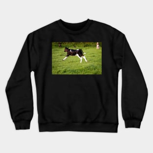 The Galloping Calf Crewneck Sweatshirt